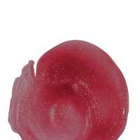 Imagen 0 de Perpetual Rose